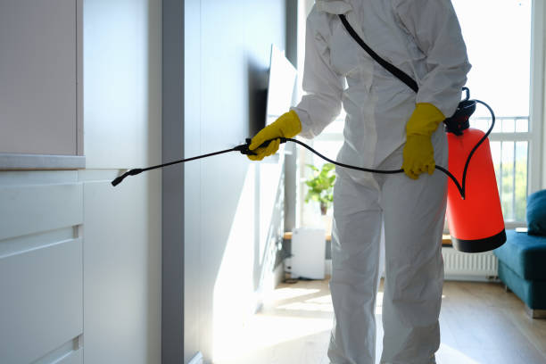 Best Commercial Mold Remediation in Red Lake Falls, MN