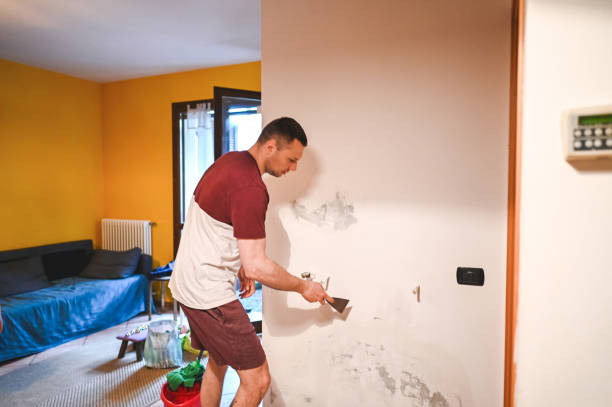 Red Lake Falls, MN Mold Remediation Company